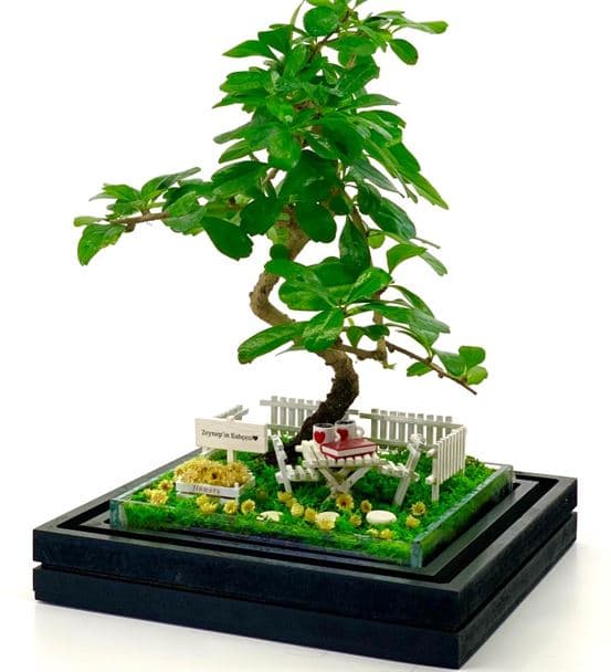 Anneye Hediye Teraryum - Bonsai Koleksiyonu
