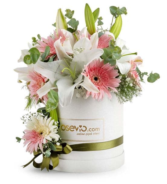 Cansano Kutu Beyaz Lilyum ve Pembe Gerberalar