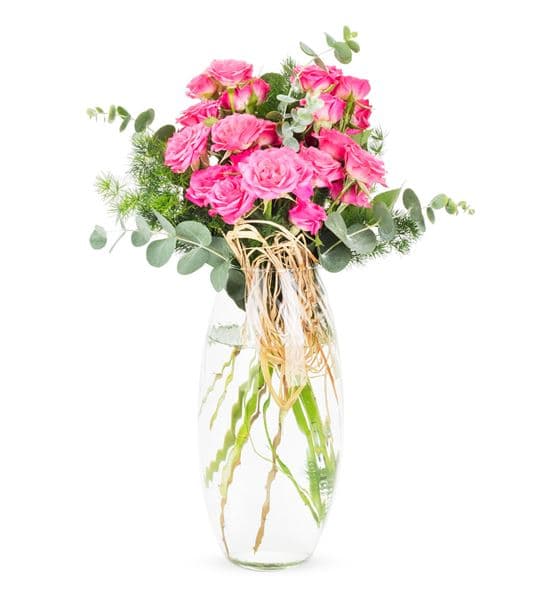 Carignan Serisi Pembe Çardak Gül Tasarım Aranjmanı