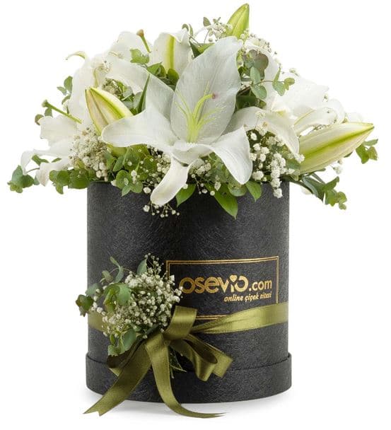 Carracci Kutu Dolusu Kokulu Beyaz Lilyumlar