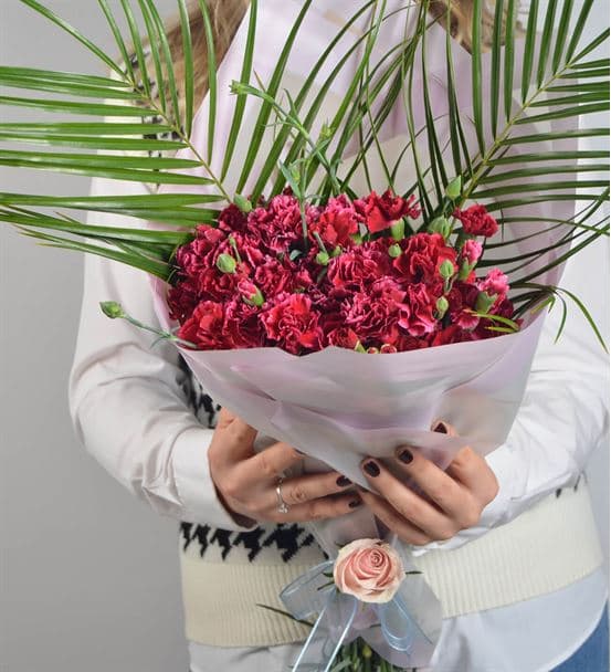 Harmony Of Carnations