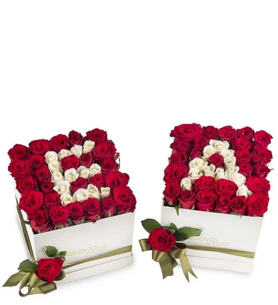 İkili Kişiye Özel Aşkın Baş Harfi Güller