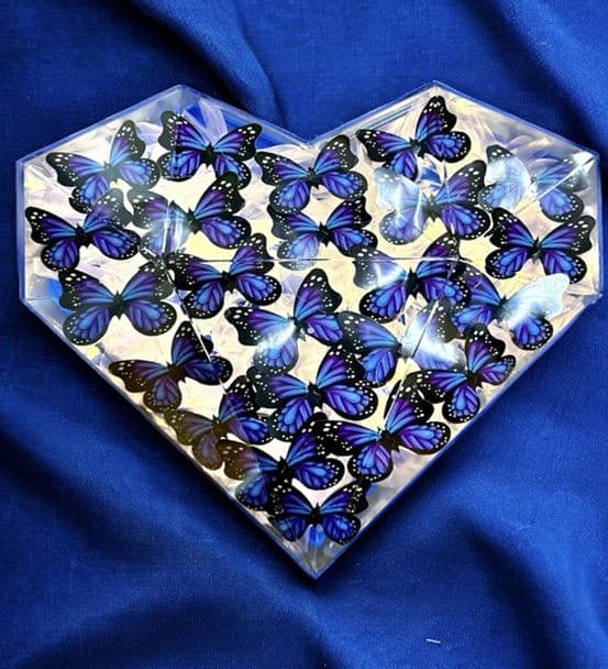 Kalp Kutuda Işıklı Kelebek Aranjmanı