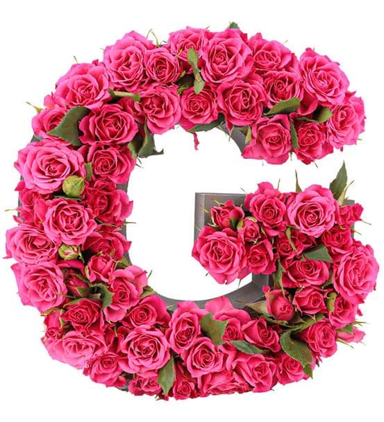 Kişiye Özel Harf Saksıda Fuşya Mini Gül Tasarım