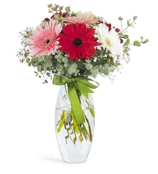 Renk Cümbüşü Gerbera Mevsim Çiçekleri