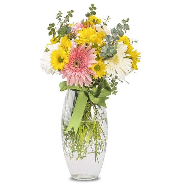 Renkli Papatya ve Gerberaların Buluşması