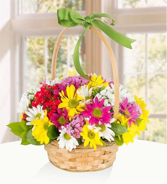 Renkli Papatyalar Çiçek Sepeti