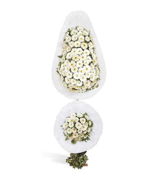 Saf Düşler Beyaz Gerbera Kutlama Çelengi